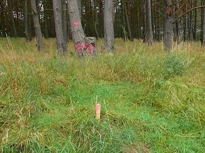 Wyznaczenie punktów granicznych